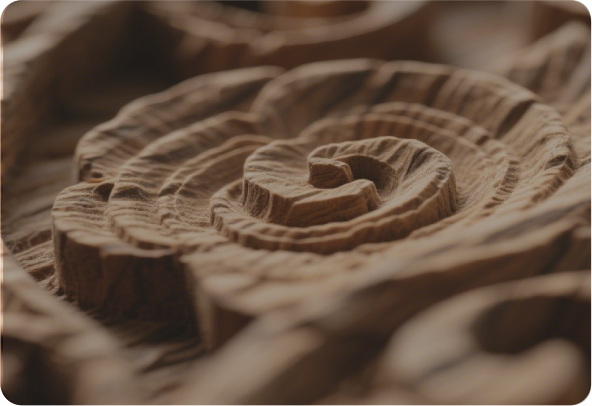 預(yù)約體驗(yàn)